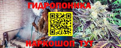 спиды Севастополь