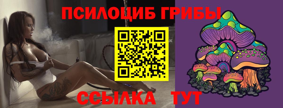 Псилоцибиновые грибы прущие грибы  Галлюциногенные грибы Psilocybe  купить наркоту  Вход с VPN  Павлово 